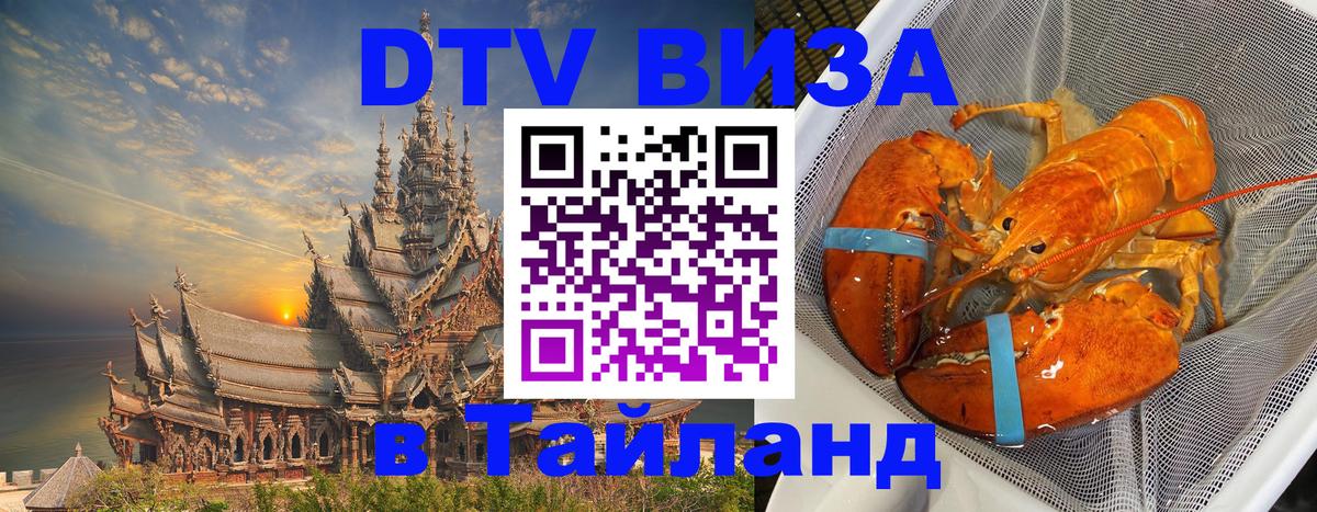Сколько стоит DTV виза — актуальные цены, оформление даже без документов - Иерусалим  05.10.2025 